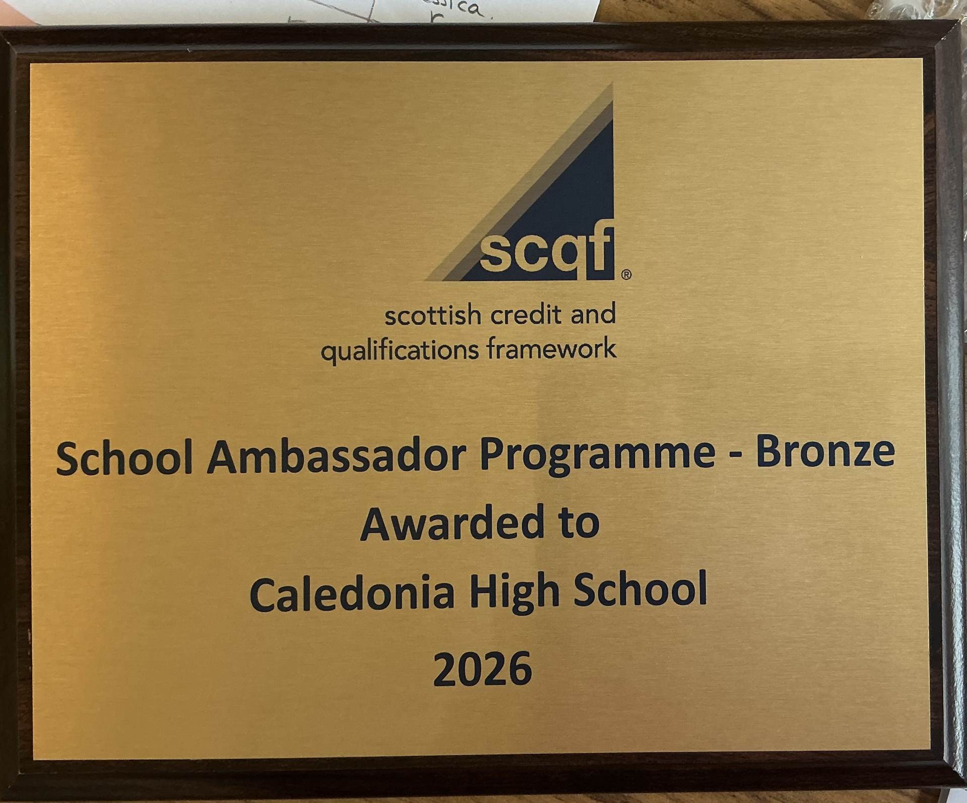 CHS School Ambassador Programme
